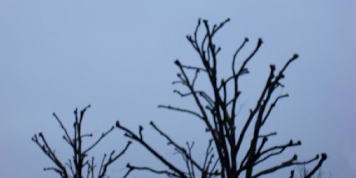 Best Online Casino Australia 2025 Top Australian Online Casinos