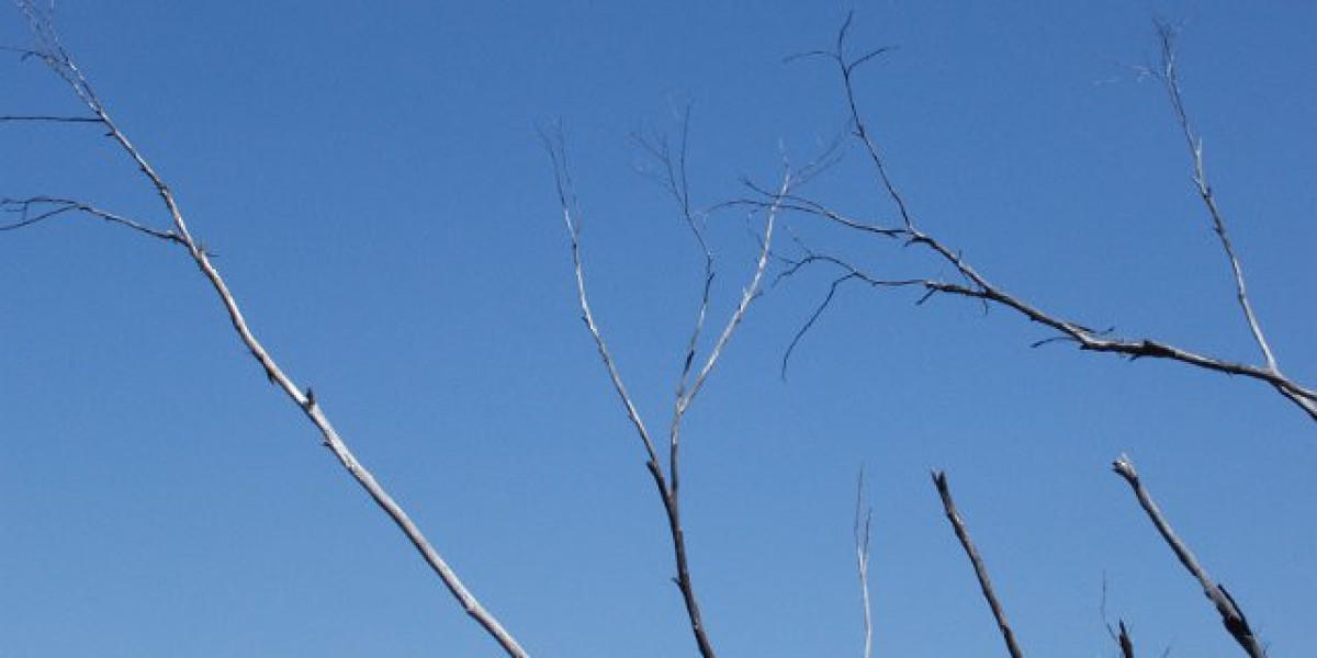 Best US Online Casinos with Real Money Payouts