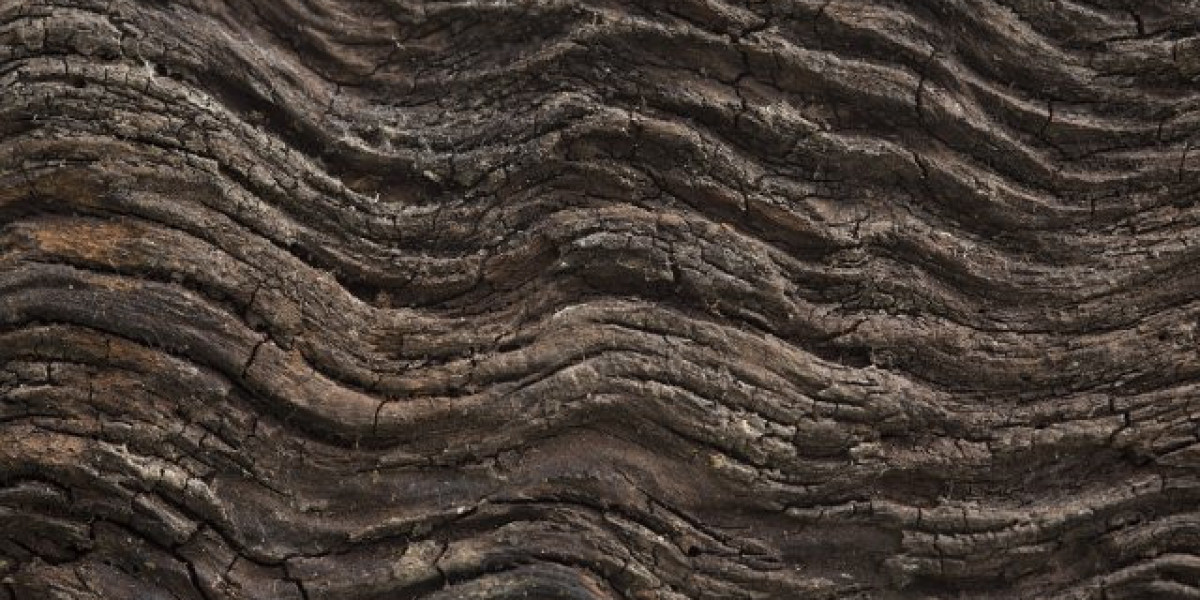 Meet the People Behind the Play